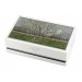 Visconti Van Gogh Orchard In Blossom Fountain Pen