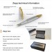 Diplomat Zepp Limited Edition Gold Fountain Pen